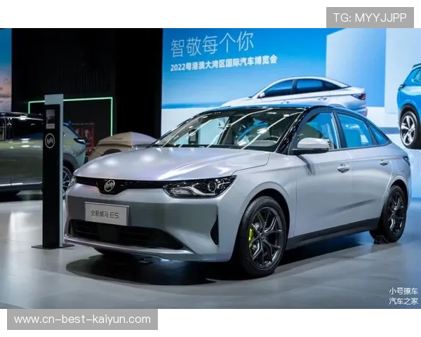 18.01万元起,新款威马E.5上市